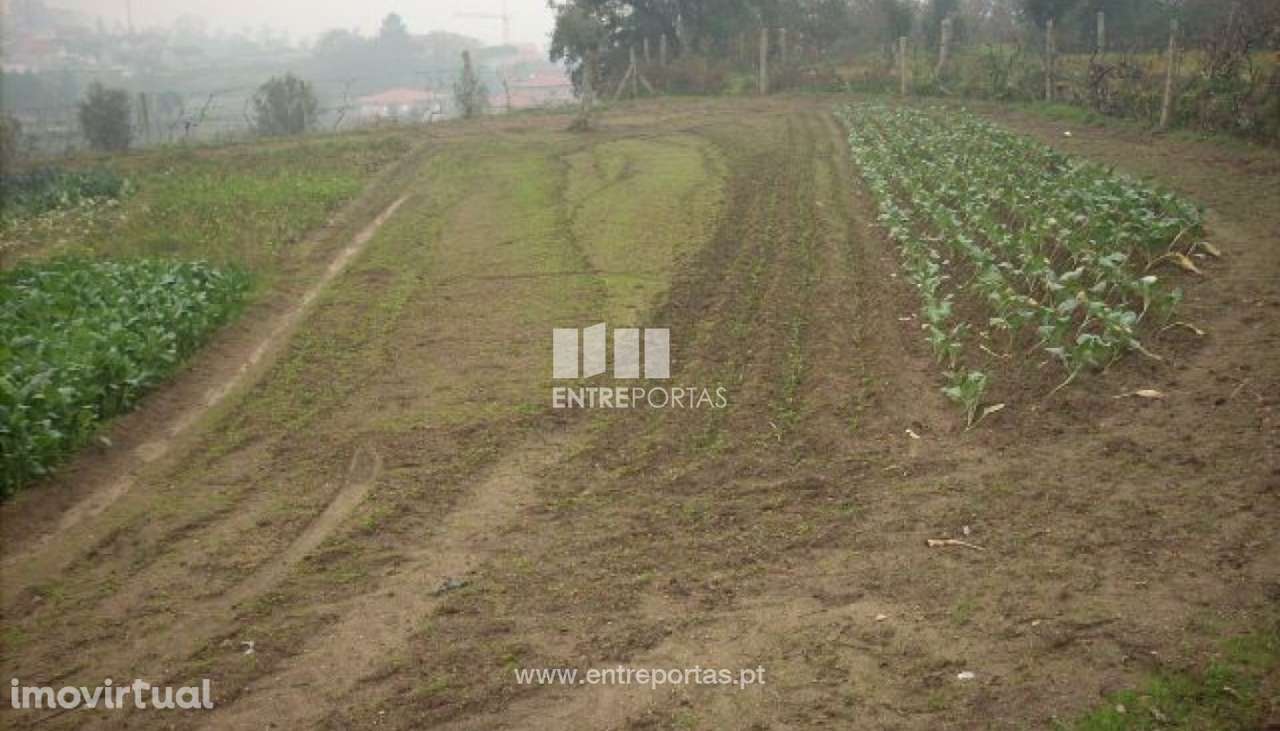 Venda Terreno, Várzea do Douro, Marco de Canaveses - Grande imagem: 3/7