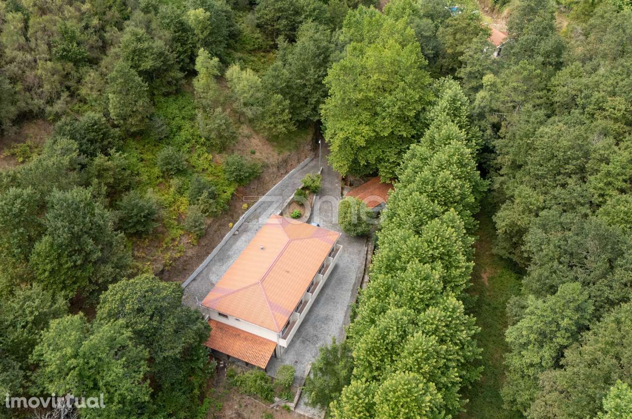 Quinta com Moínho e frente de Rio, Cabeceiras de Basto - Grande imagem: 5/60