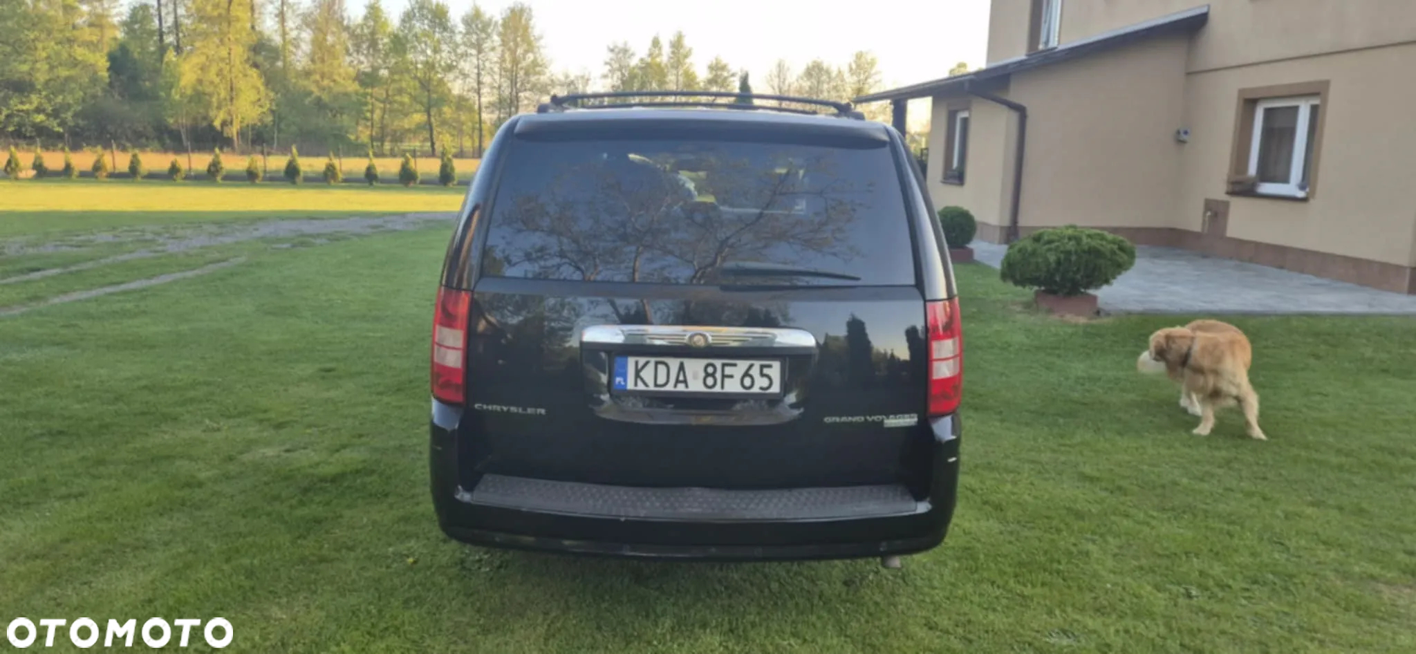 Chrysler Grand Voyager 3.8 V6 Limited - 8