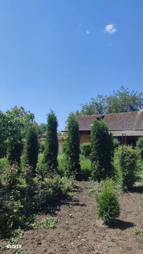 Casa batraneasca in Davideni – curte generoasa de 2.000 mp - Imagine principală: 4/18