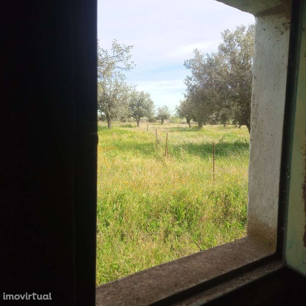 Terreno com Monte Alentejano - Grande imagem: 3/13