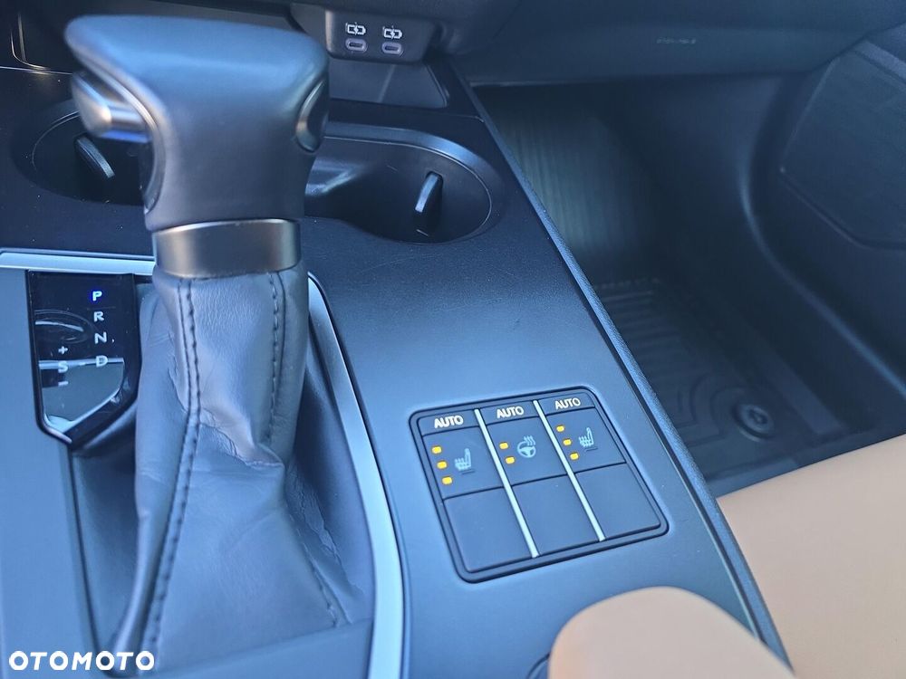 Lexus UX 250h GPF F Sport Design 2WD - 10