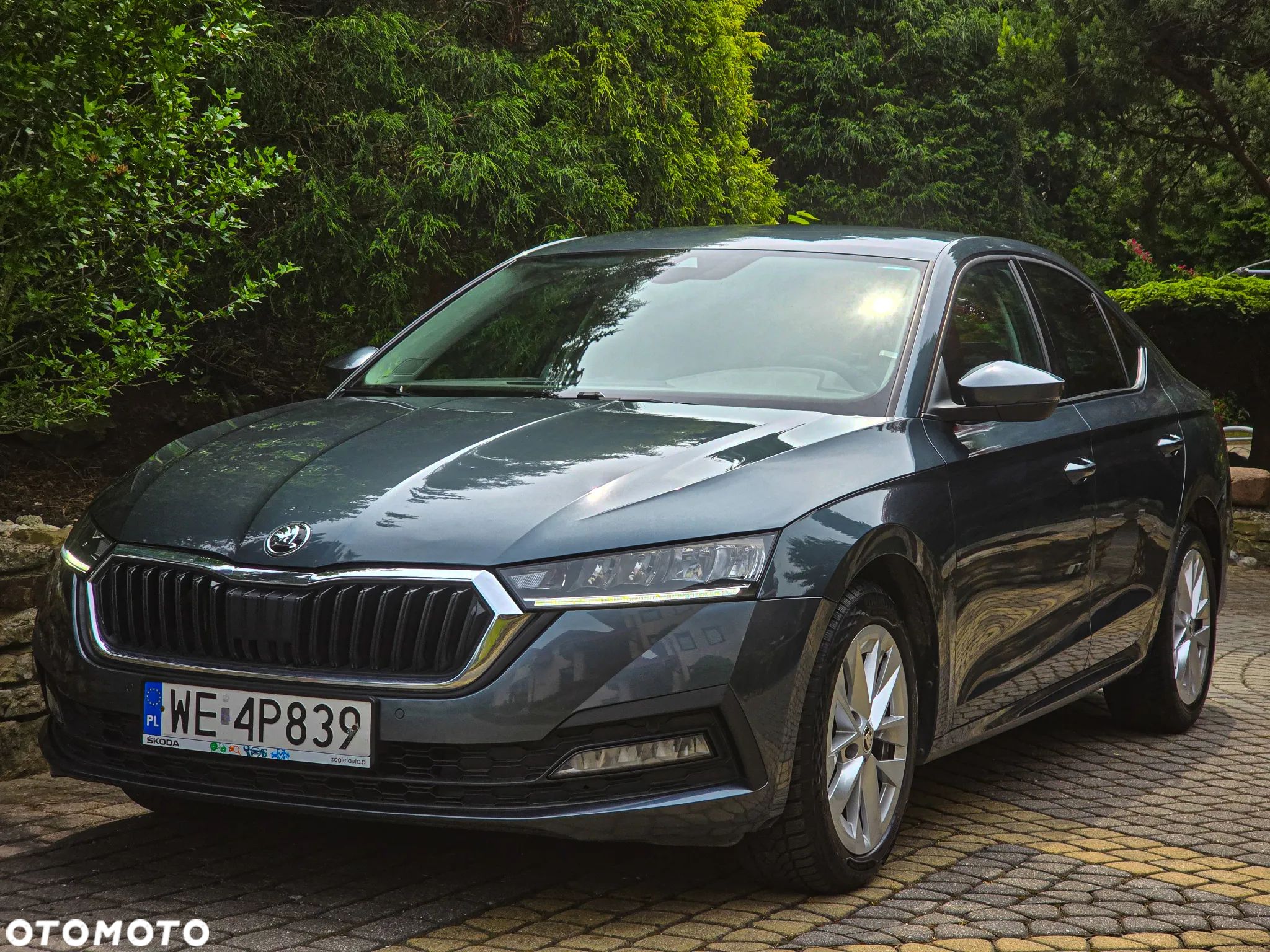 Skoda Octavia 1.5 TSI GPF ACT Ambition DSG - 1