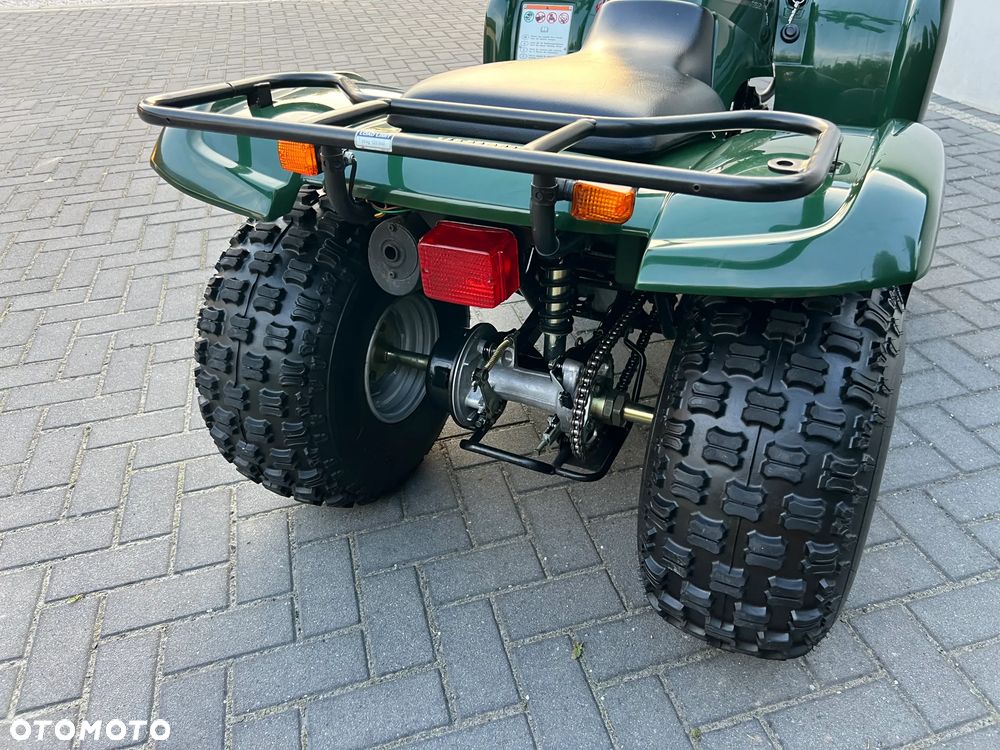 Yamaha Grizzly - 6