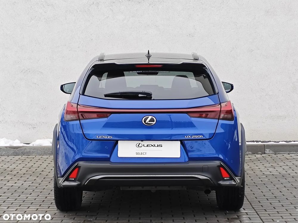 Lexus UX 250h GPF F Sport Design+ 2WD - 8