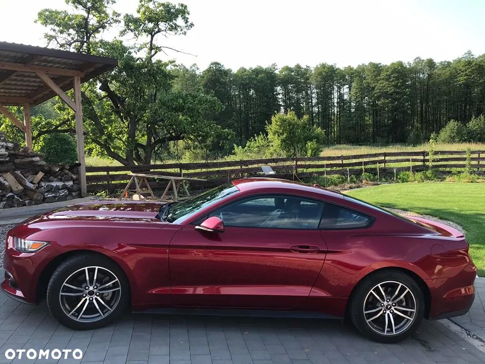 Ford Mustang 2.3 EcoBoost - 21