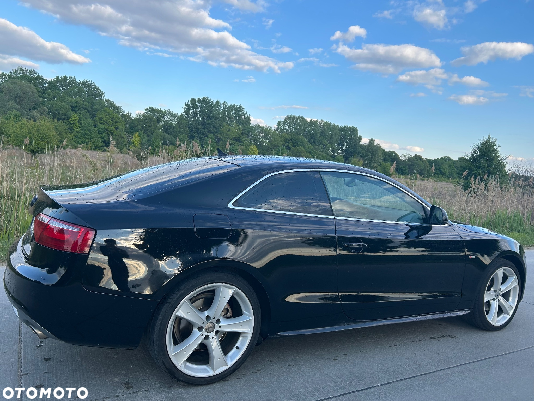 Audi A5 2.7 TDI Multitronic - 6