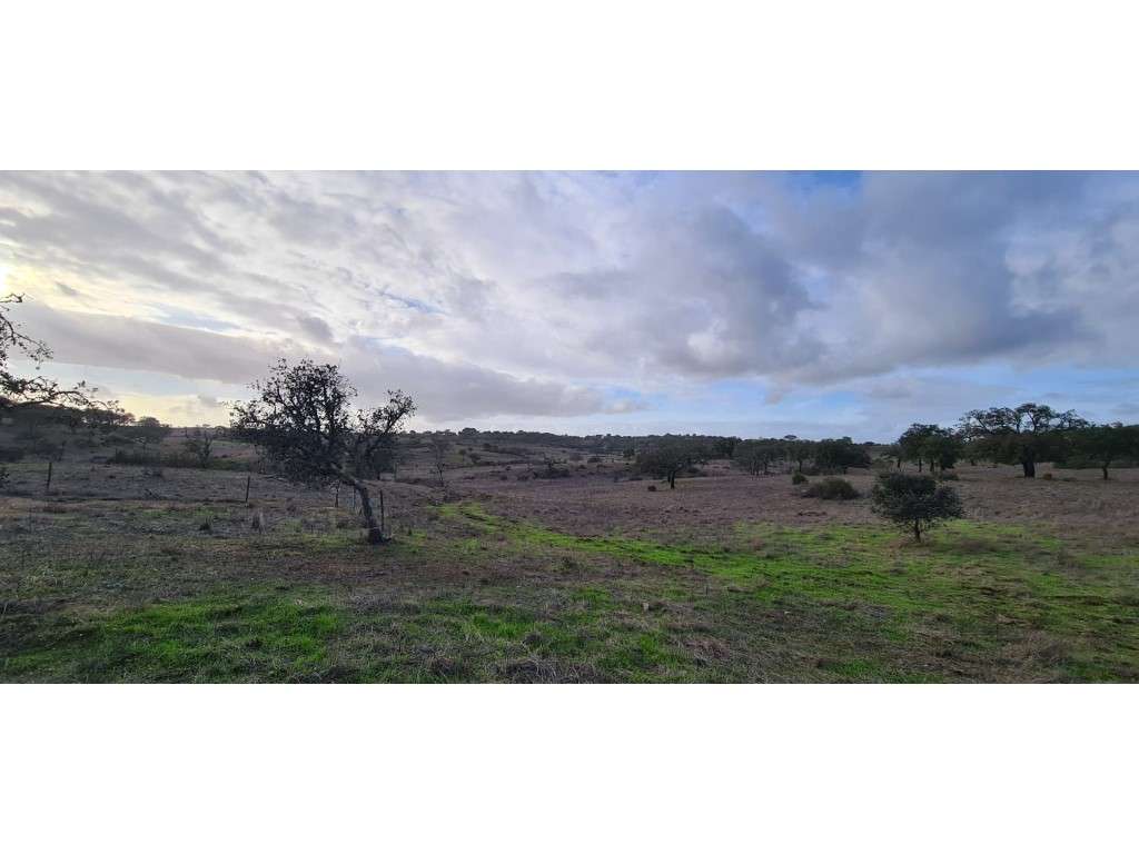 Terreno Rústico - Grande imagem: 3/12