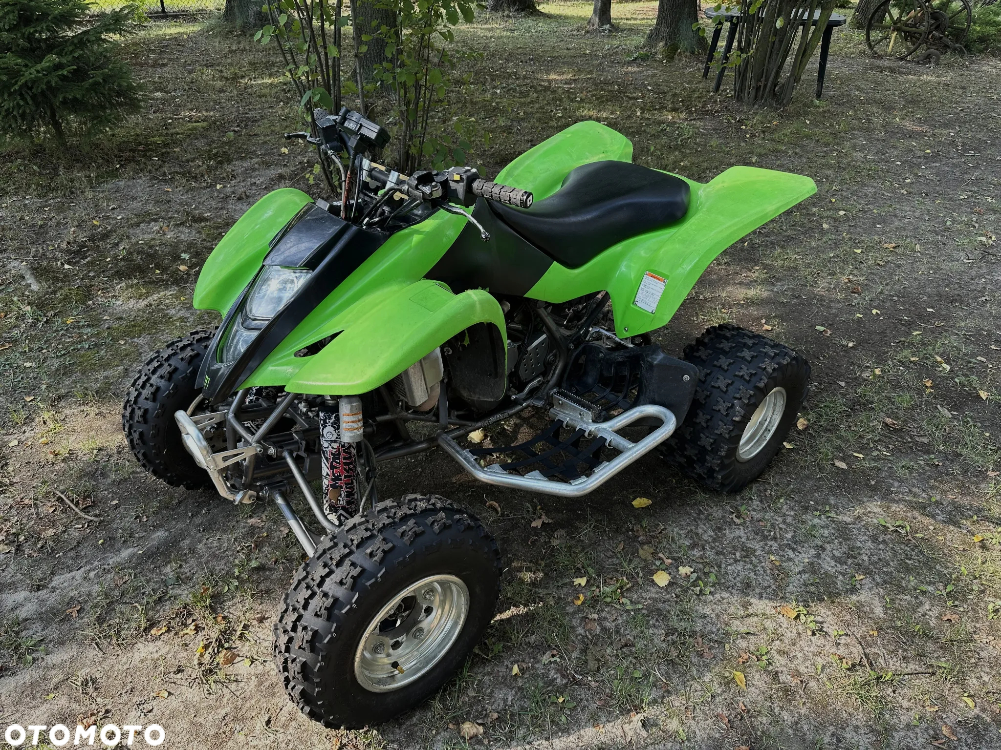 Suzuki Inny - 7