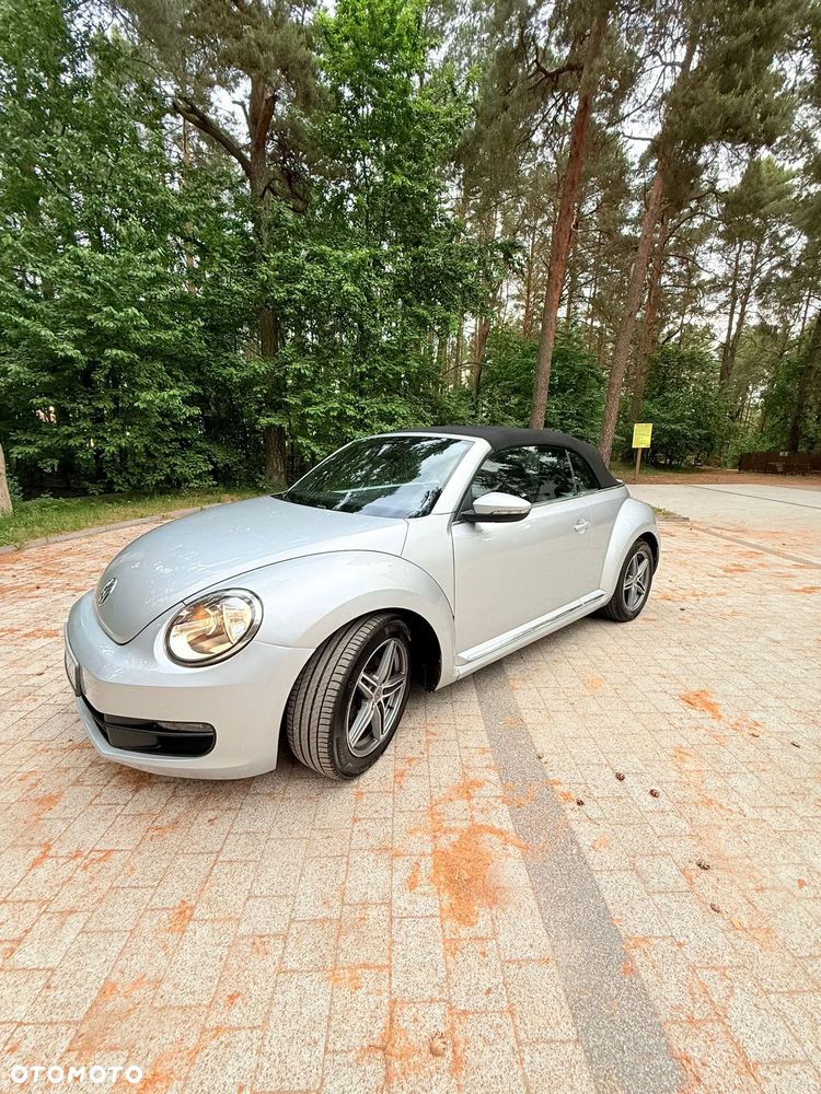 Volkswagen Beetle - 6