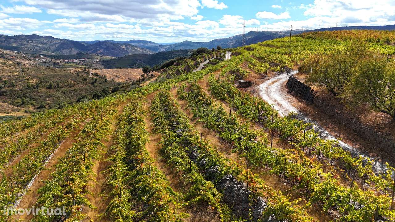 Propriedade Agrícola no Coração do Douro com Vinhas de Vinho do Porto, - Grande imagem: 2/29