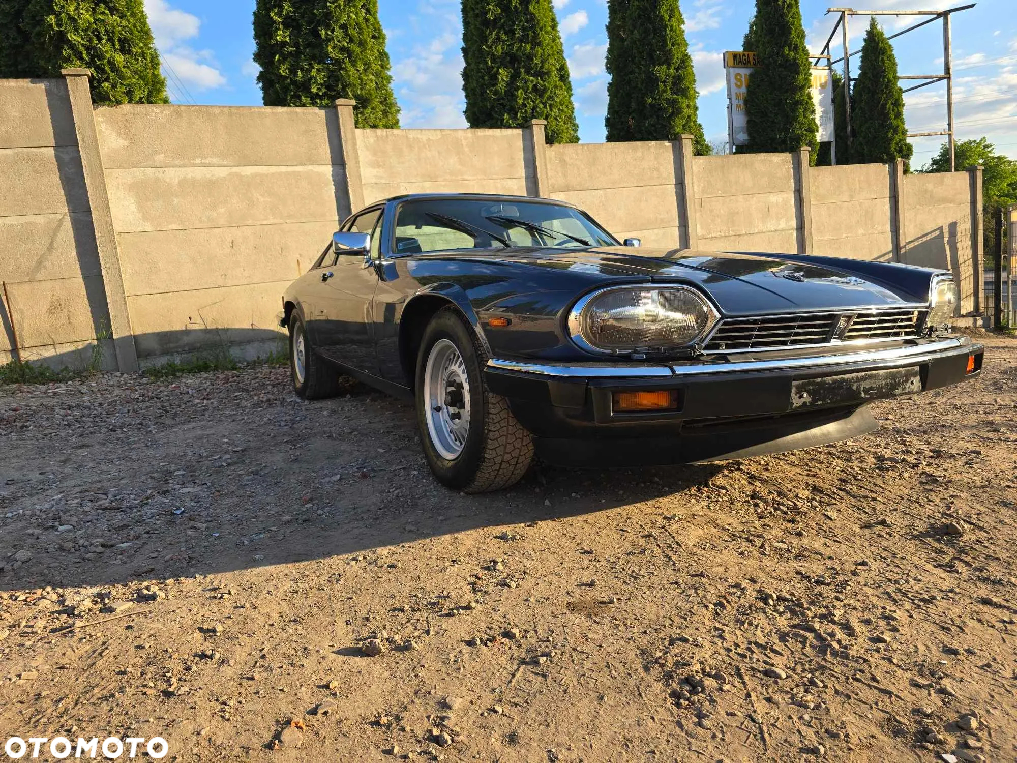 Jaguar XJS - 19