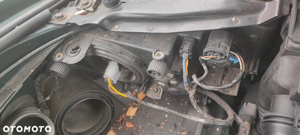 BMW E39 KOMPLETNY PRZÓD maska zderzak lampy błotniki pas 2.5 B OXFORDGRUEN - 5