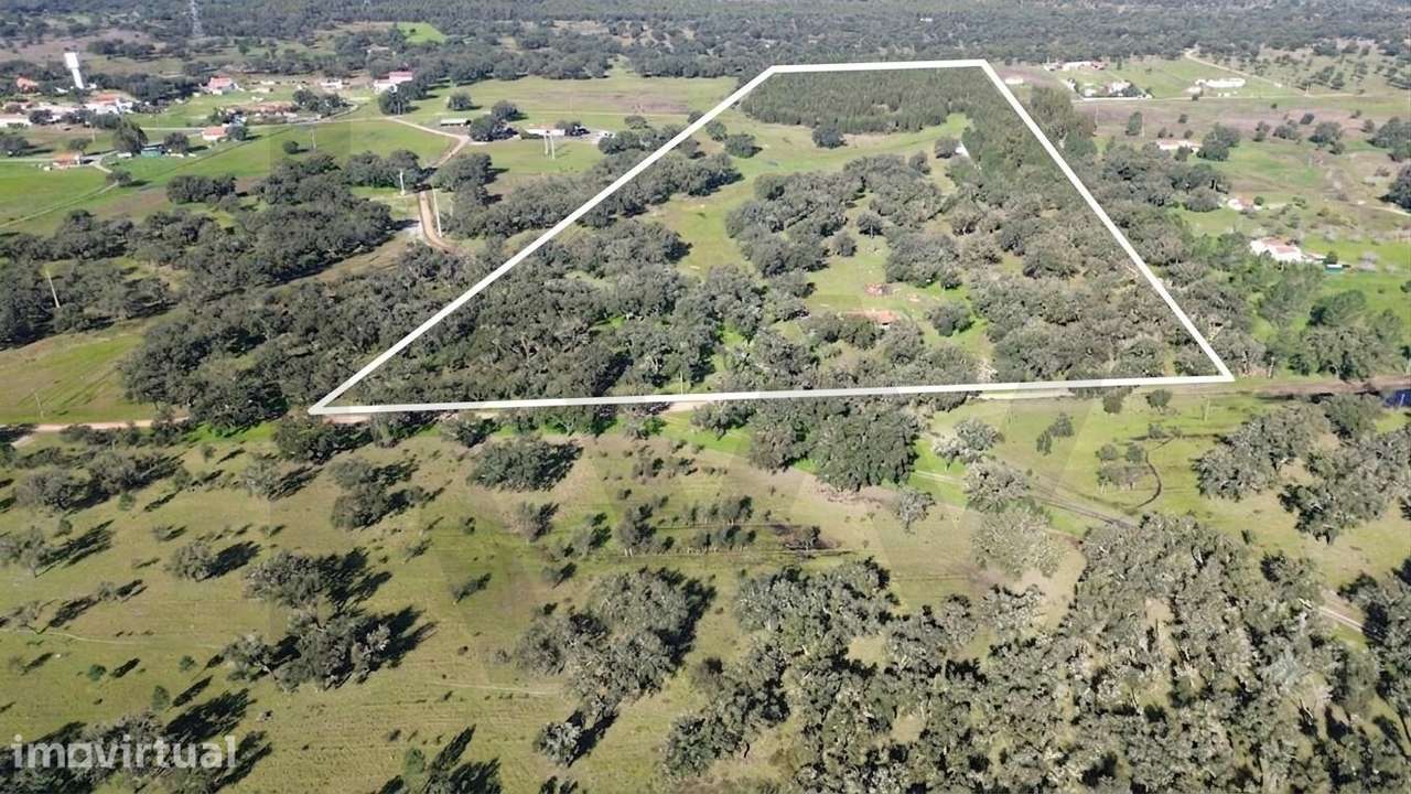 Quinta com 12,55 hectares e elevado potencial construtivo | Foros do L - Grande imagem: 2/27