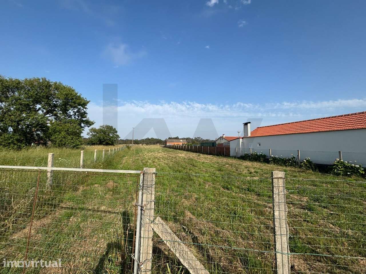 Terreno de 15.600 m2 com 17m de Frente Urbanizável e Pinhal Privado - Grande imagem: 5/12