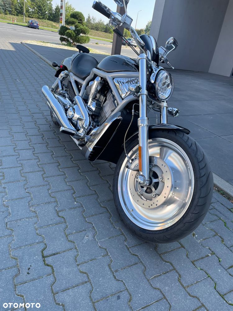 Harley-Davidson V-Rod Street Rod - 5