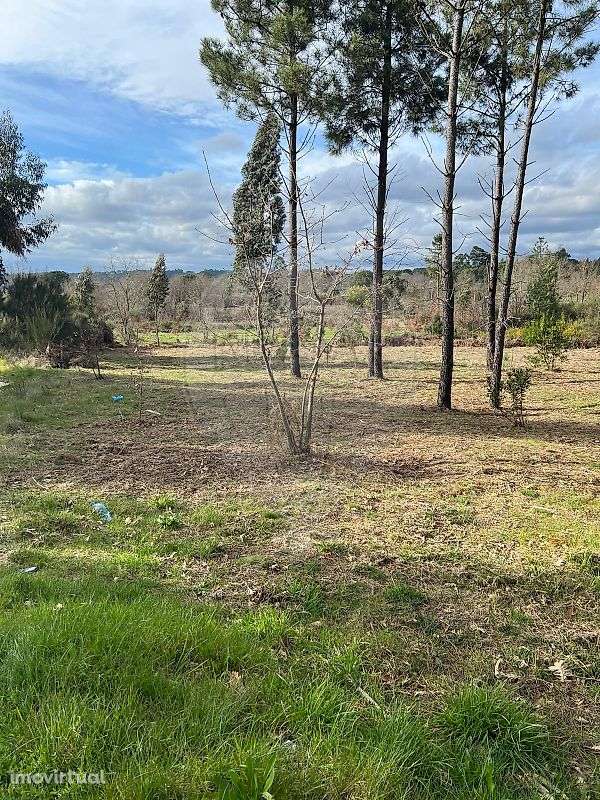 Terreno  para venda - Grande imagem: 2/6