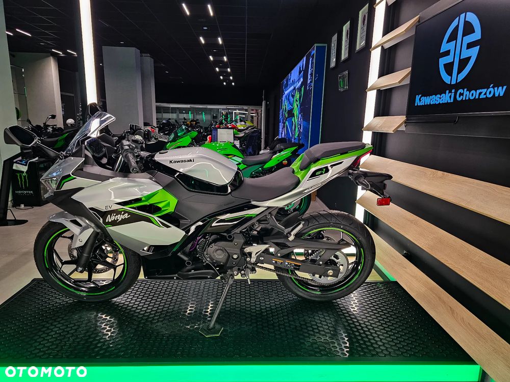 Kawasaki Ninja - 3