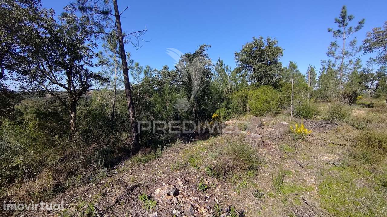 Terreno Rústico 4280 m2 - Grande imagem: 3/33