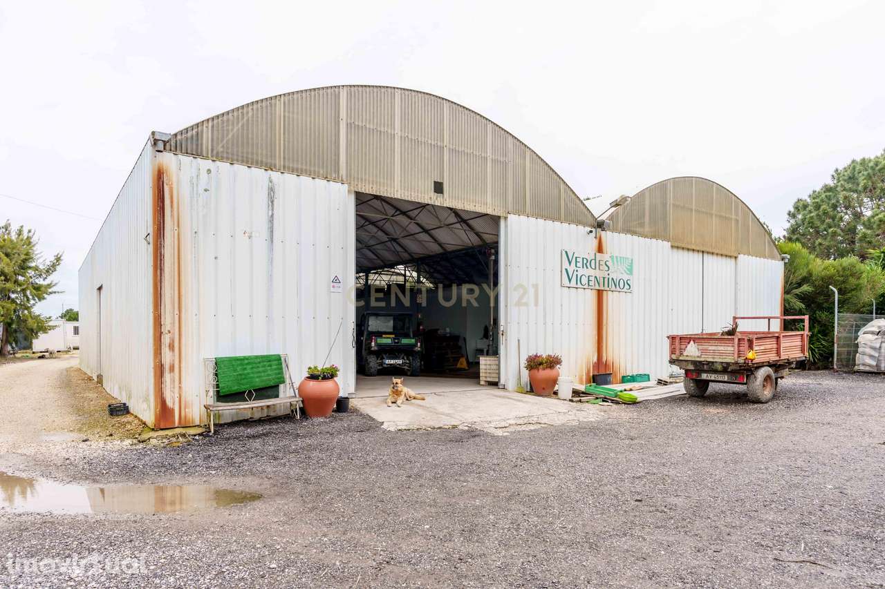 Negócio de Flores - Grande imagem: 3/24