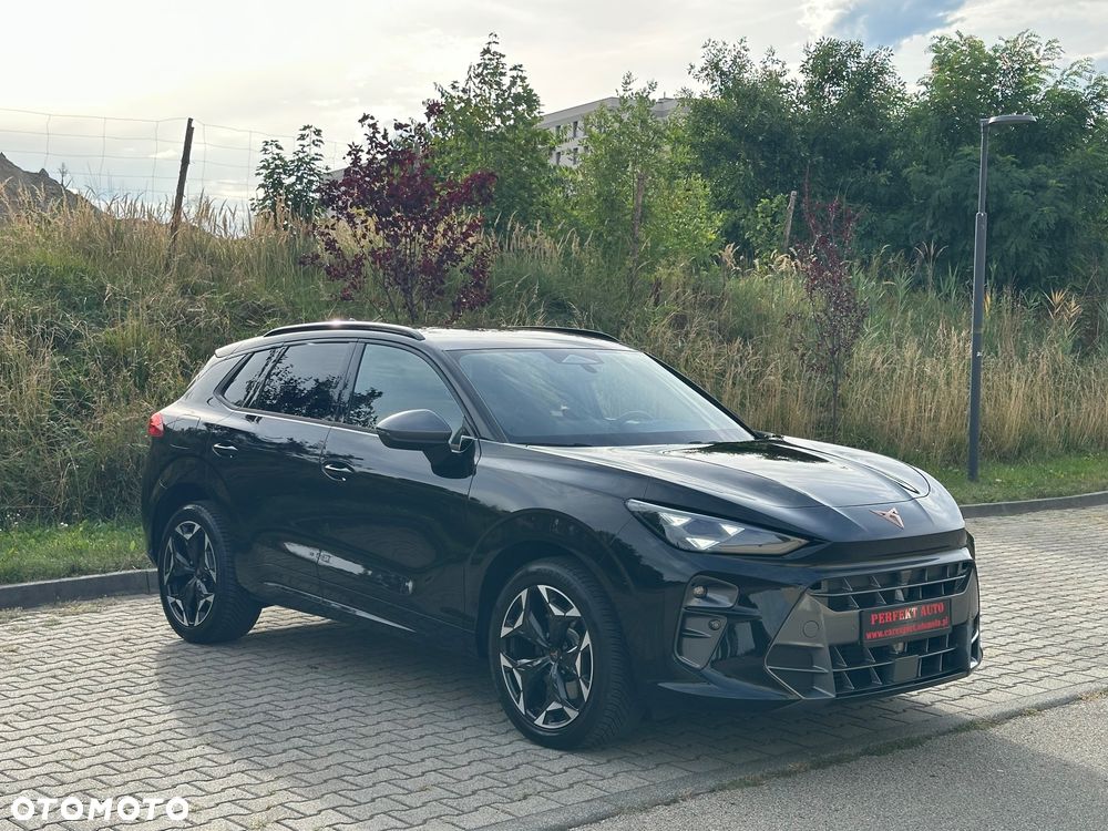 Cupra Terramar 2.0 TSI 4Drive DSG VZ - 19