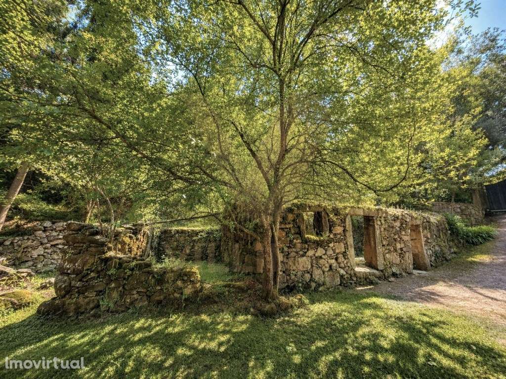 Propriedade com Casa Antiga, Piscina e Terreno Amplo - Cepões - Pon... - Grande imagem: 2/23