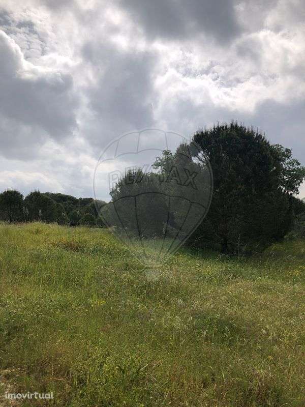 Terreno  para venda - Grande imagem: 3/5