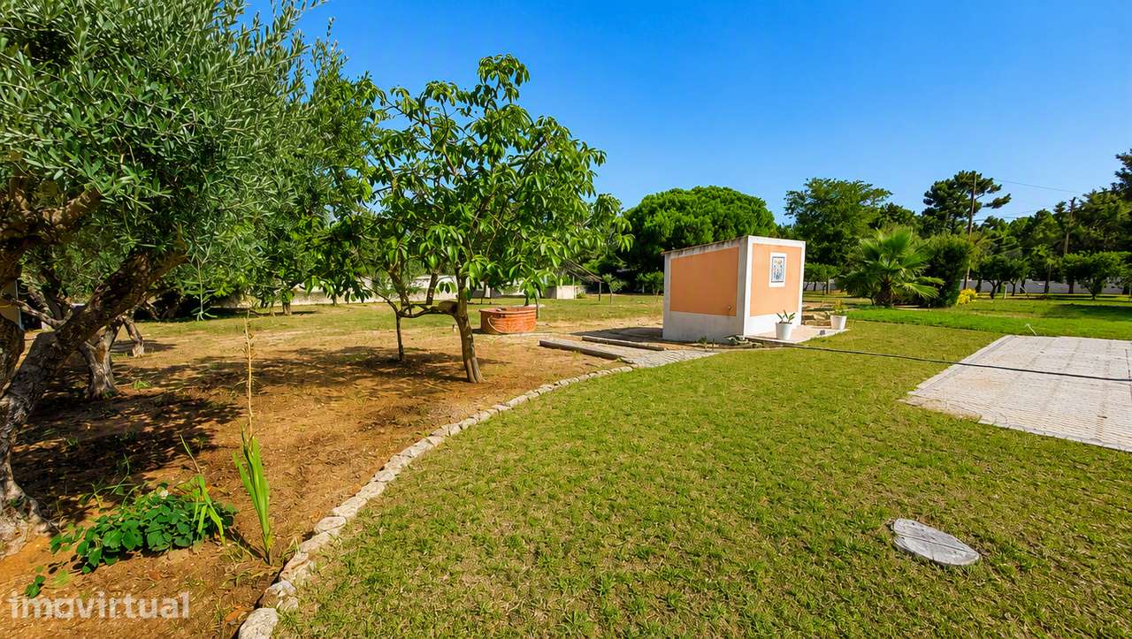 Quinta T5 com Piscina e Pomar em Azeitão - Grande imagem: 3/25