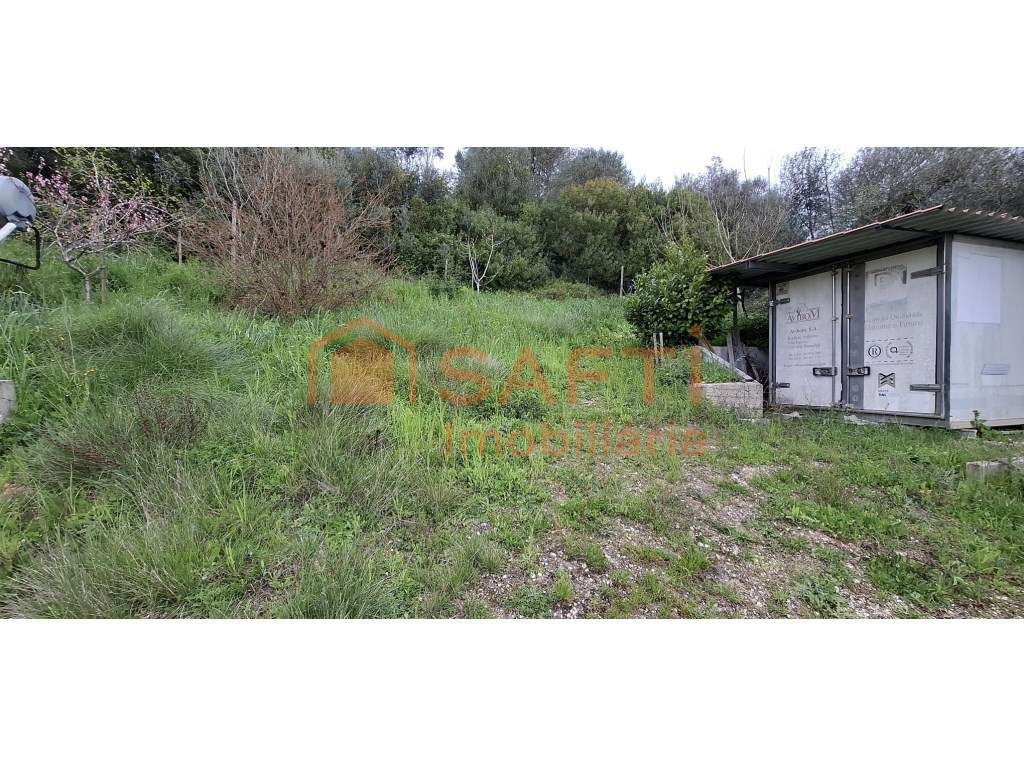 Terreno em Gucherre, Almoster, Santarém (11.880 m²) - Grande imagem: 4/21