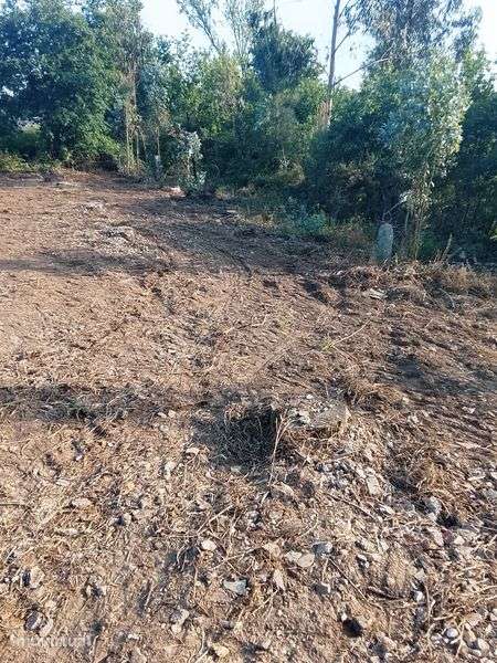 Alugo terreno bom acesso - Grande imagem: 4/4