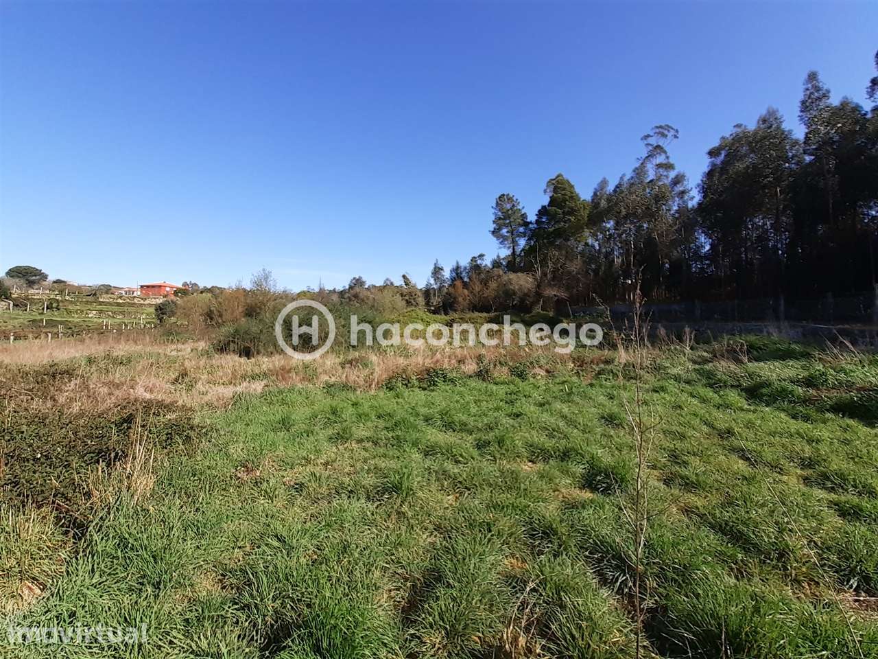 Terreno agricola Alvito São Pedro Barcelos - Grande imagem: 2/10