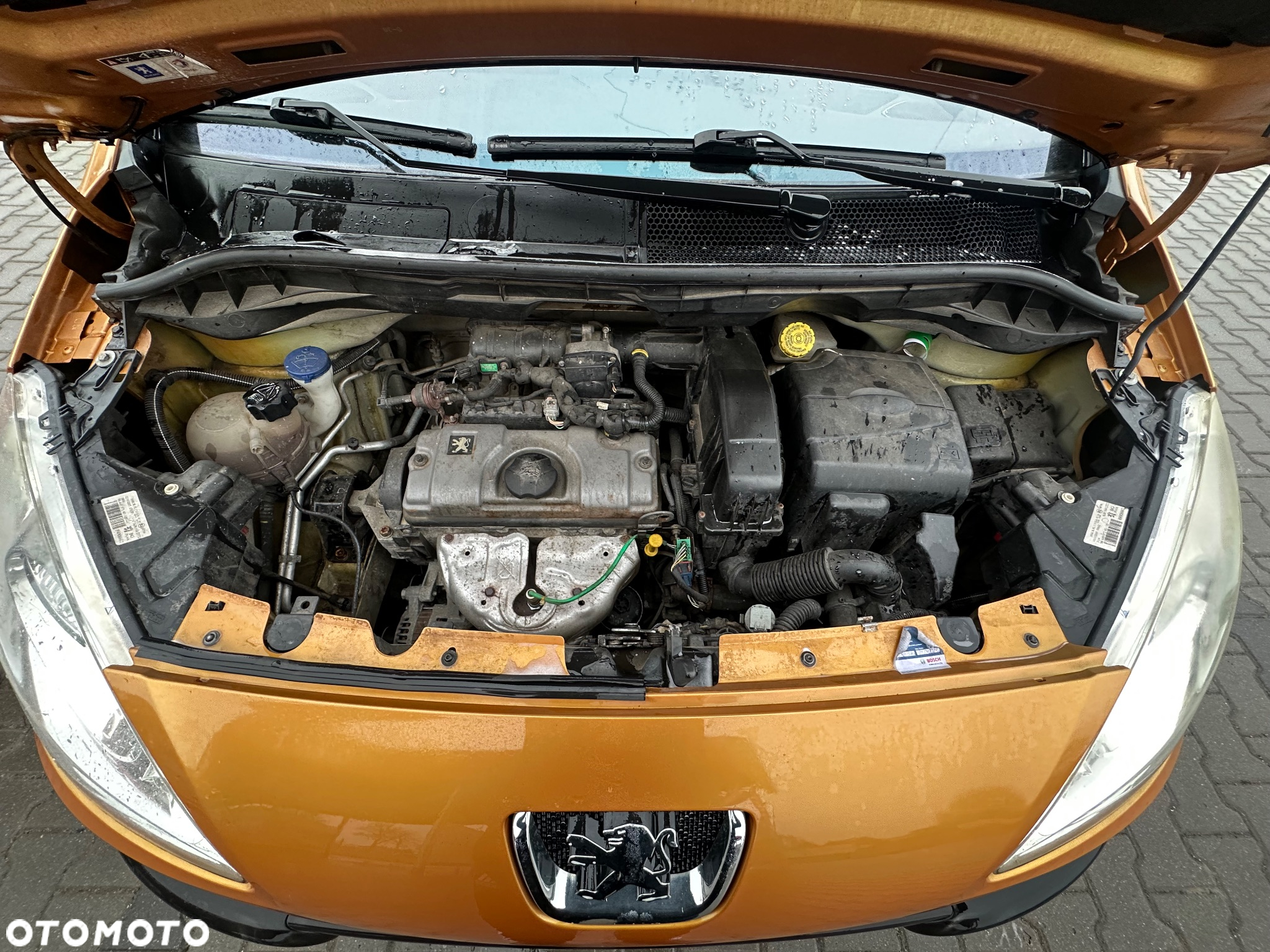 Peugeot 1007 - 14
