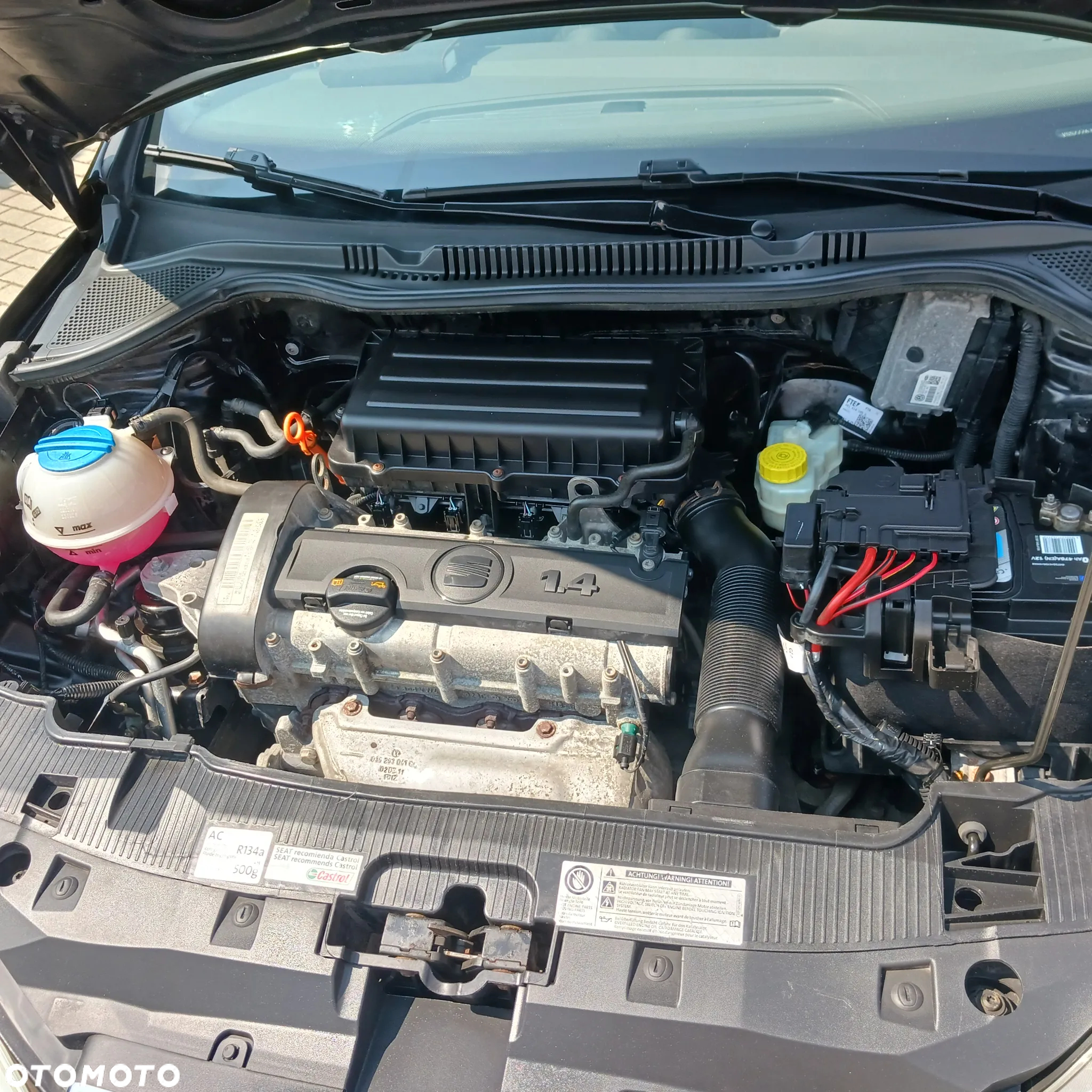 Seat Ibiza - 14