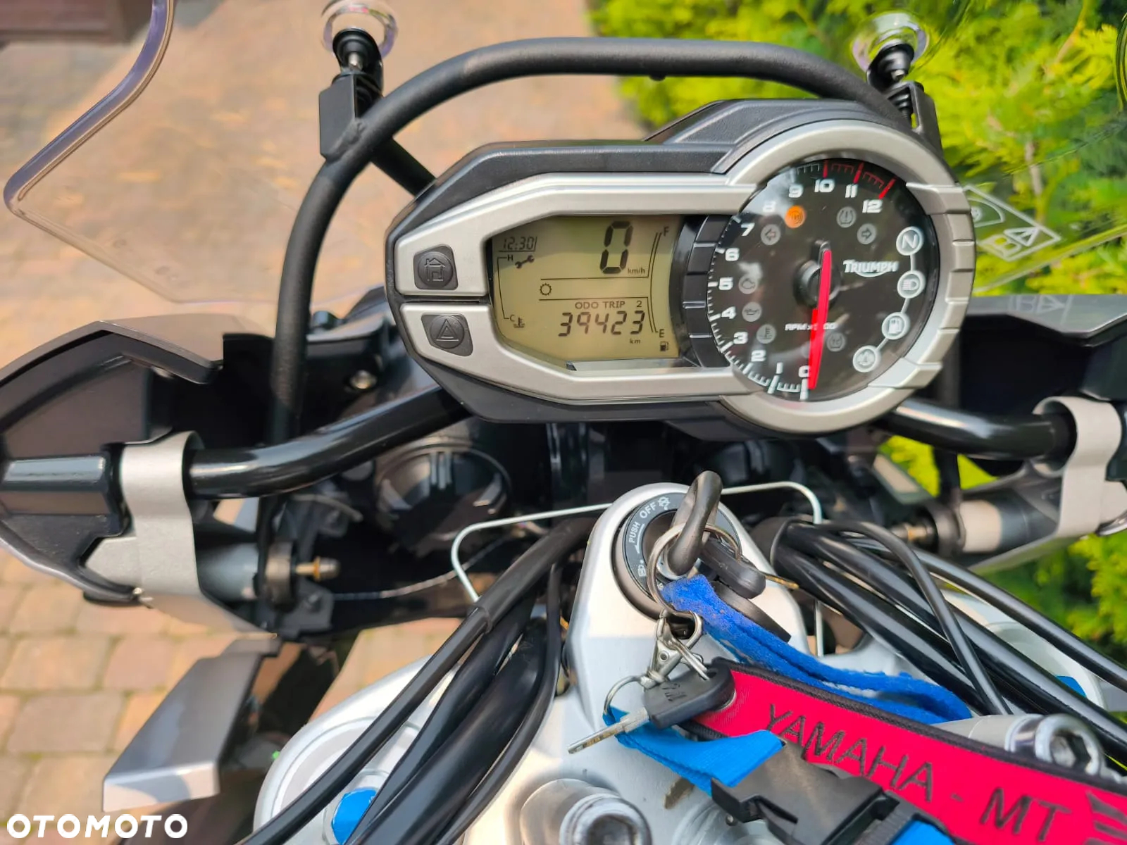 Triumph Tiger - 26