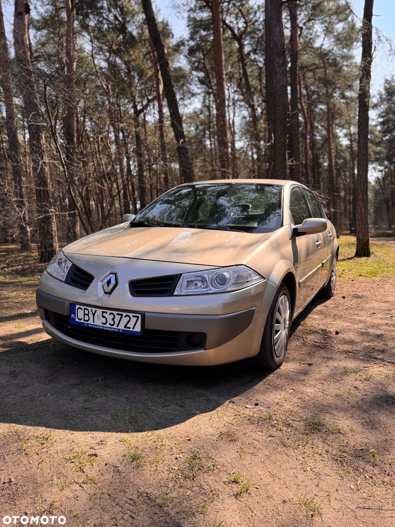 Renault Megane - 1