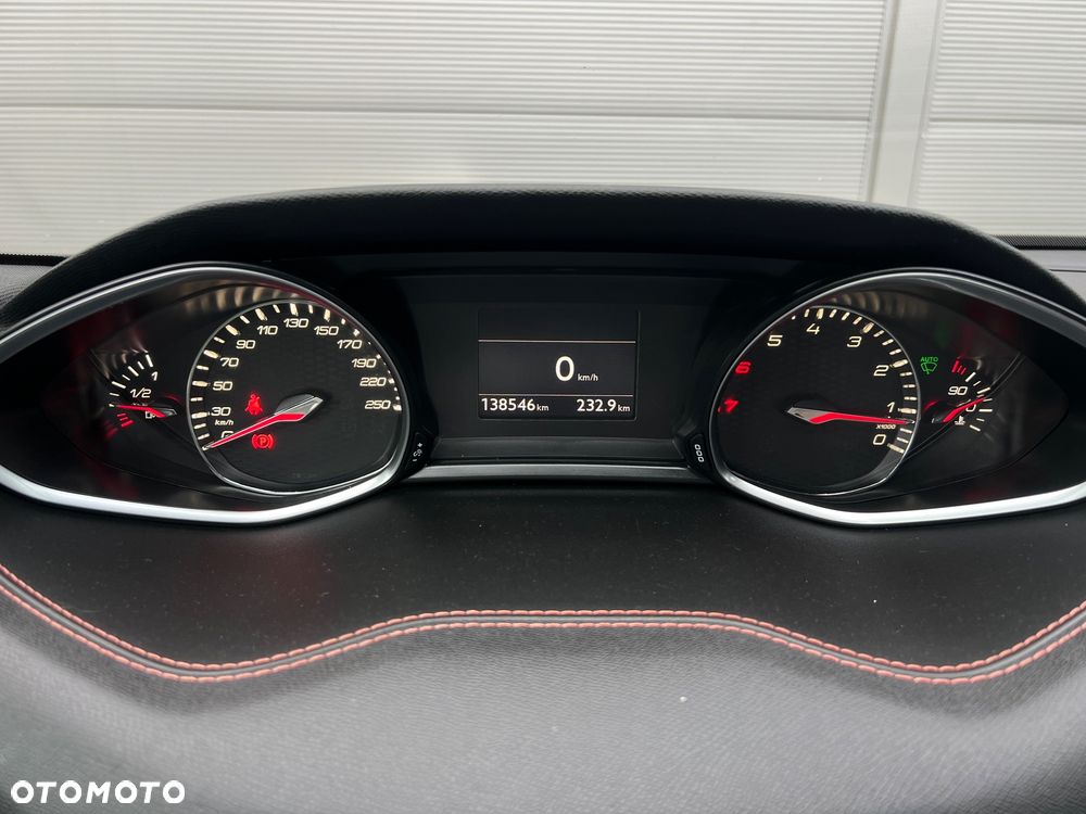Peugeot 308 THP 205 GT - 19