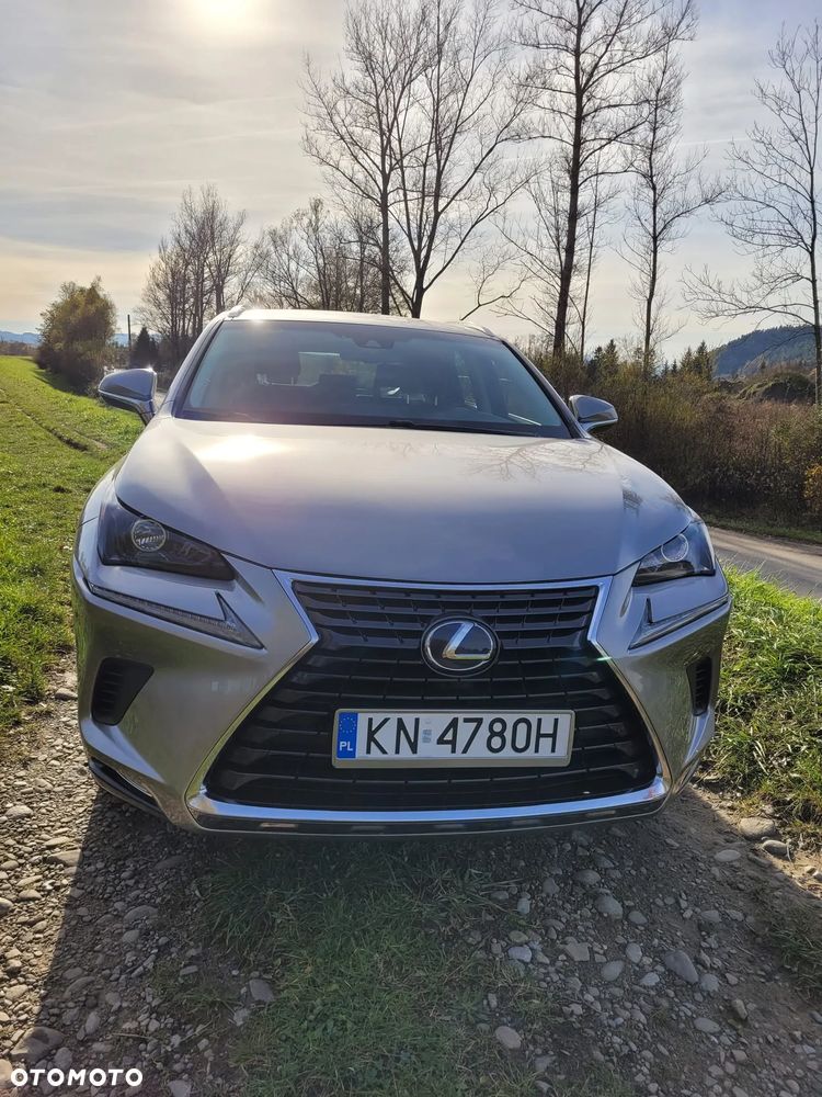Lexus NX 300h Business Edition - 3