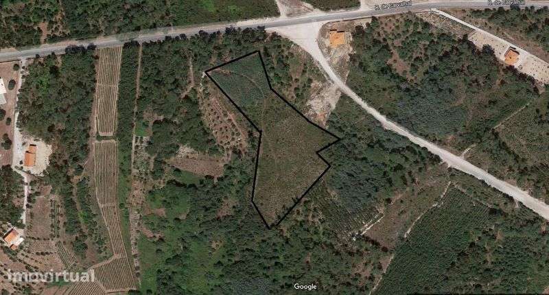 Vende - se TERRENO 1,5 ha