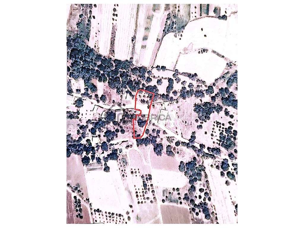 Terreno urbanizável perto de Salir - Grande imagem: 3/12