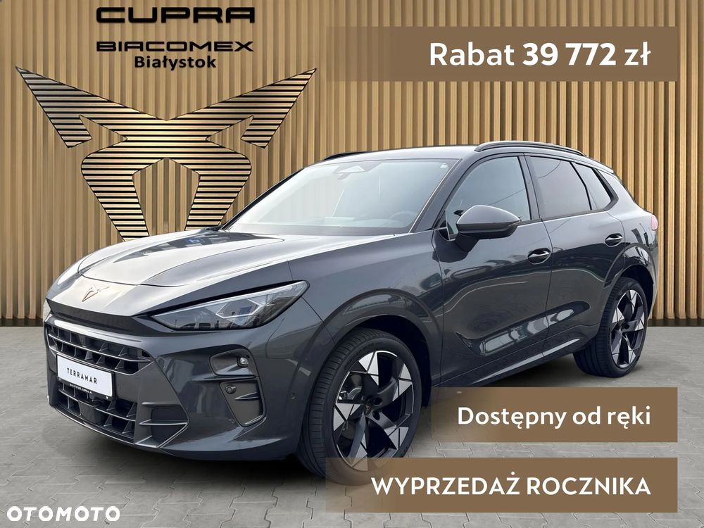 Cupra Terramar - 2