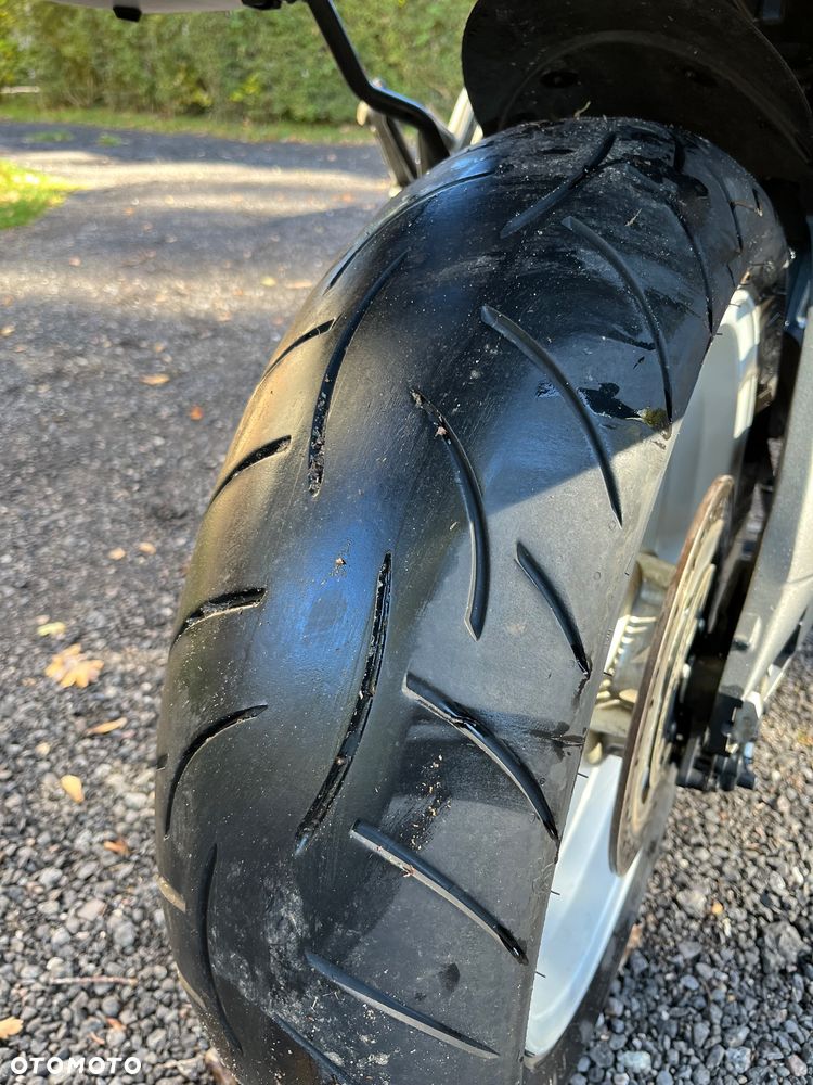 Triumph Tiger - 16