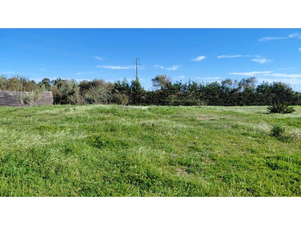 Terreno Rústico em Milfontes - Grande imagem: 2/16