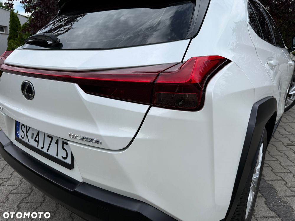 Lexus UX 250h F Sport 2WD - 6