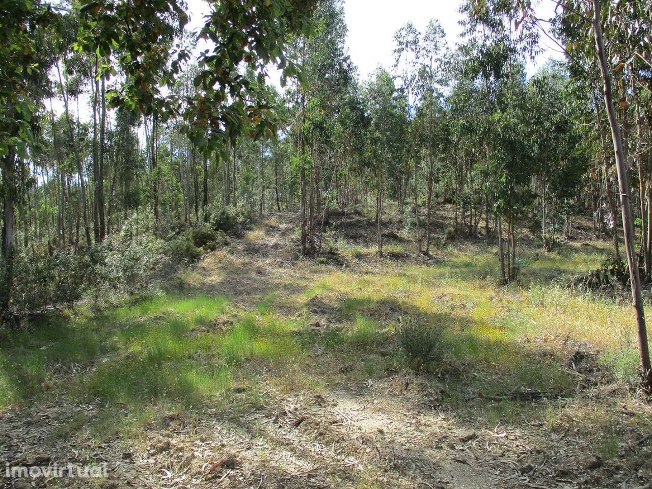 Terreno - Grande imagem: 5/5