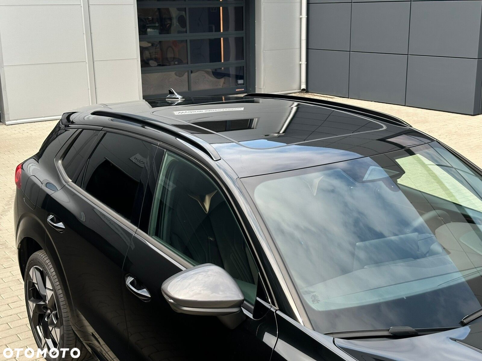 Cupra Terramar - 8