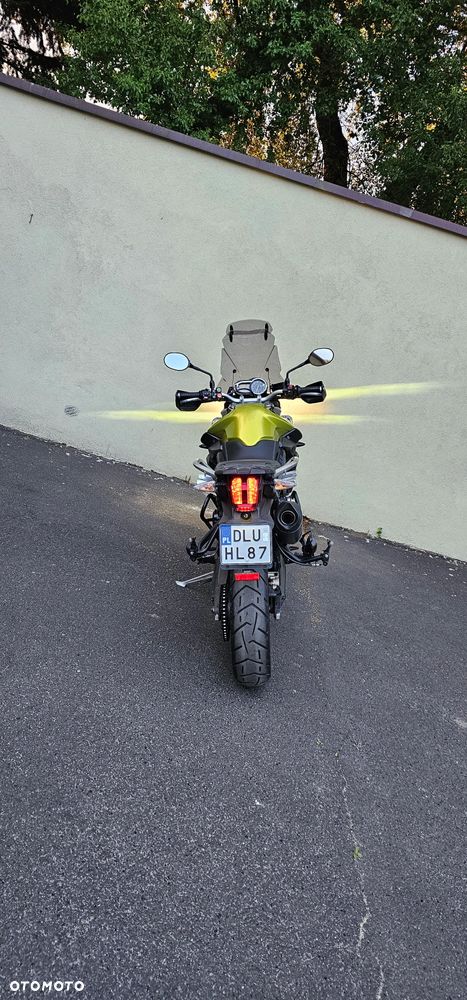 Triumph Tiger - 20