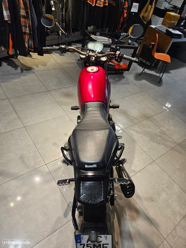 Benelli Leoncino Leoncino 500 - 10