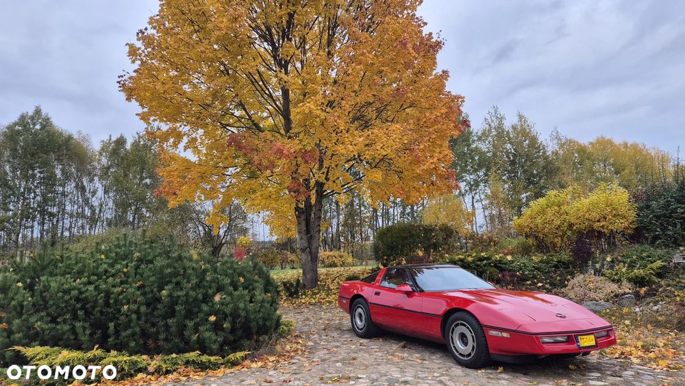 Chevrolet Corvette - 7