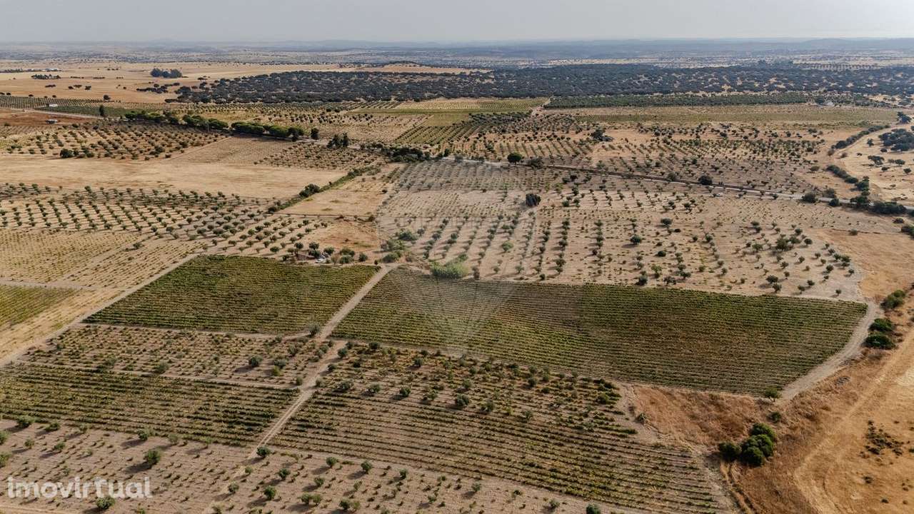 Terreno  para venda - Grande imagem: 2/26