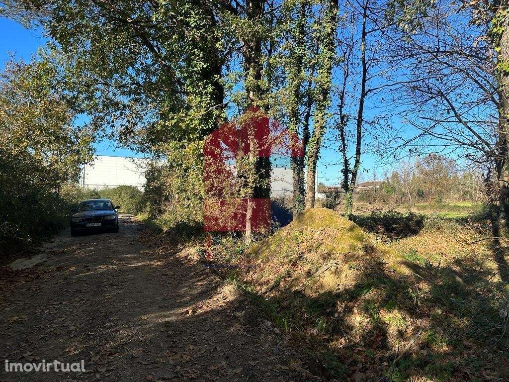 Terreno Industrial, Vila de Prado - Grande imagem: 4/12